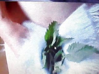 Stinging Nettle And Mohair Masturbation 2 free video